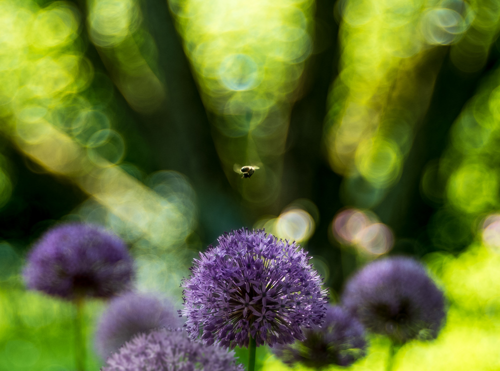Platz 5 Juergen Bernd